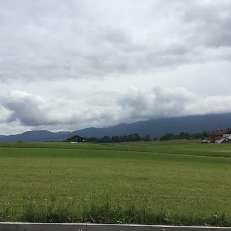 Studio Mit Alpenblick Grossweil ภายนอก รูปภาพ